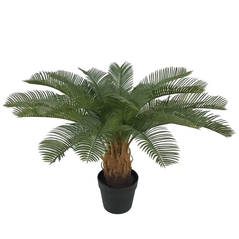 Plante artificielle Cycas Sago - Home Decor Handicraft avis et prix
