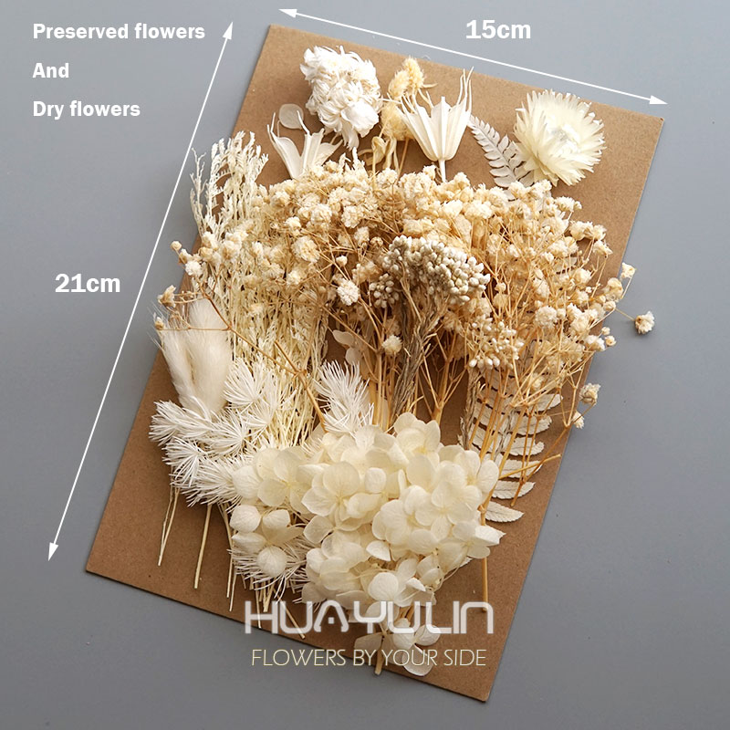 1 paquet de plantes artificiel - Home Decor Handicraft avis et prix